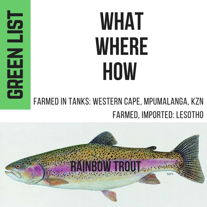 WWFSASSI's tweet photo. Everything is not always sunshine and rainbows, but this trout is! You have a choice. Make it Green! #SustainableSeafood with #WWFSASSI https://t.co/DTCoYYbTCG