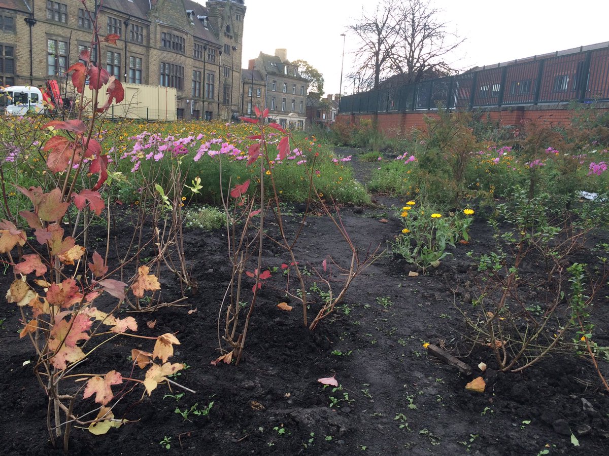 SUCCESS Project tweet media