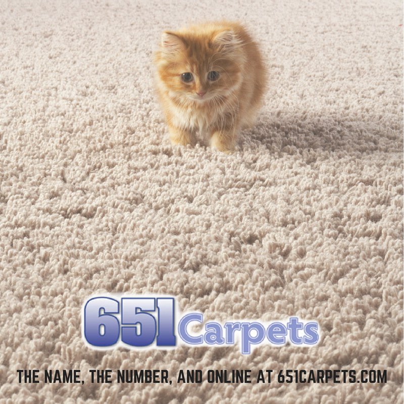 651carpets's tweet photo. Are you in need of new flooring? Check out our website today to see all offers on flooring! https://t.co/GD66TcJRrv https://t.co/8EajBR1rGr