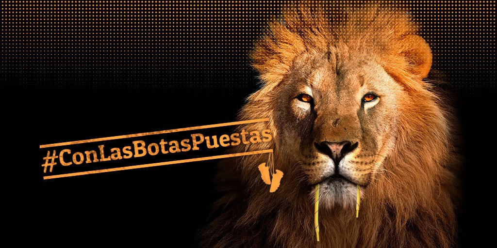 👟👟 #ConLasBotasPuestas serás imparable. 💪
¡Que tu rugido se escuche! 📢📢 
Pídelas en 👉 afiliado.afe-futbol.com