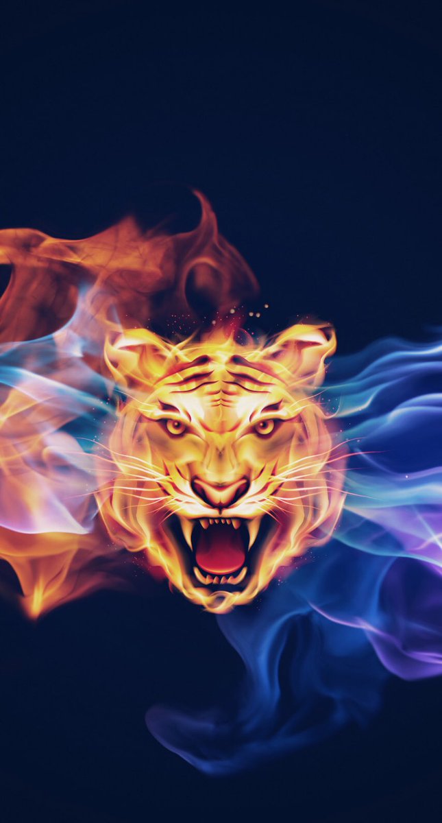 LAST HOME GAME TONIGHT AT 6:30PM‼️‼️ Also, tonight is our last regular season game. Come support your Golden Tigers as they face the Knights