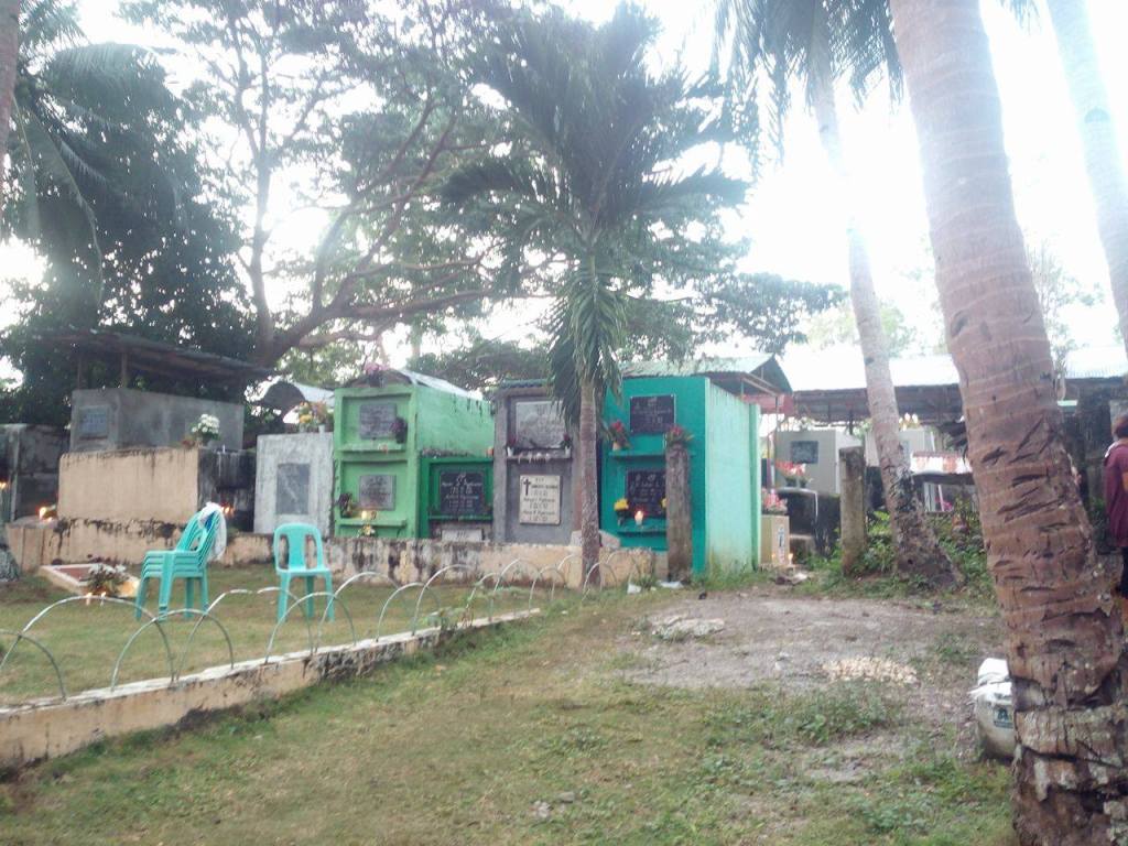 sofia tang tweet media