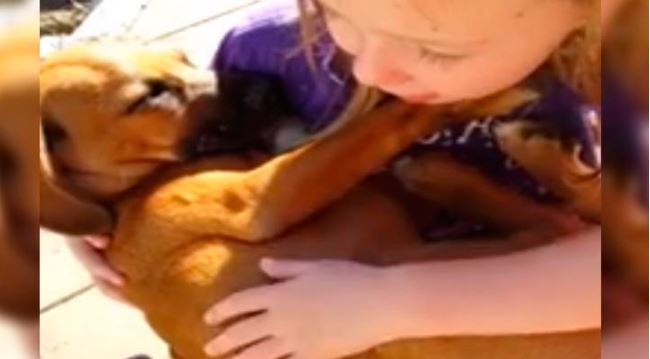 noticias_cuatro's tweet photo. El momento de una niña acunando a su mascota que te va a enternecer https://t.co/B5SDIhwclG https://t.co/IDbi17pXdl