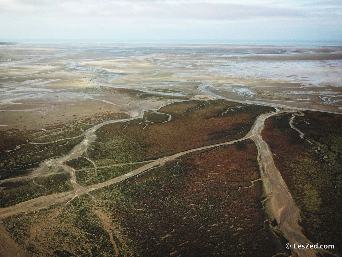 les_zed's tweet photo. Admirer des phoques (sauvages) en #France, en #BaieDeSomme : voilà un moment magique ! #GoSomme @SommeTourisme https://t.co/Daonkghkc8