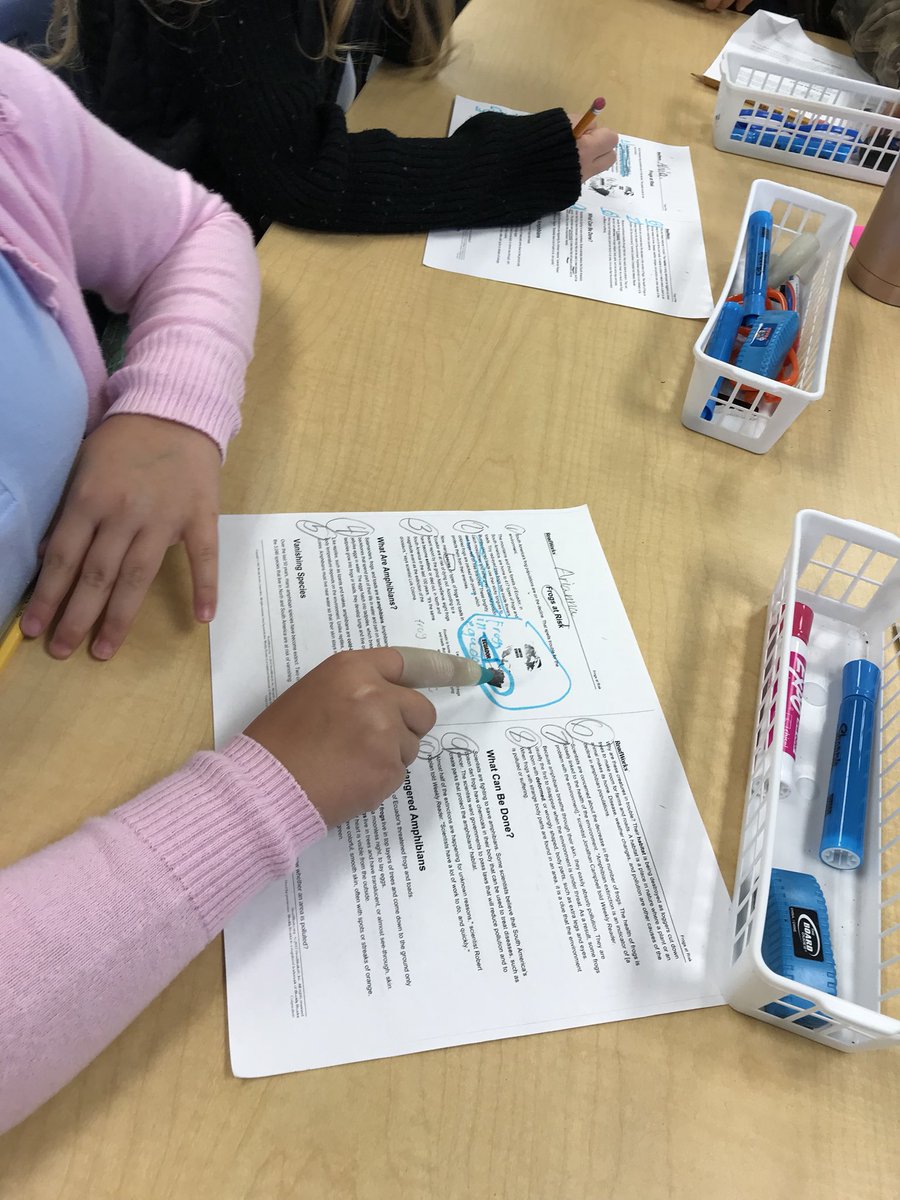 SanCarlosPkEle's tweet image. Walk to read with Ms. Bishop!!! Reading is fun!!! #toolkitready 📖📚👍😁