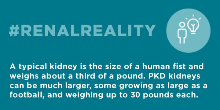 PKDFoundation's tweet photo. Fist 👊🏻  or football 🏈  ? RT to raise polycystic kidney disease (PKD) awareness. #RenalReality #endPKD https://t.co/bTgDk69Rlx