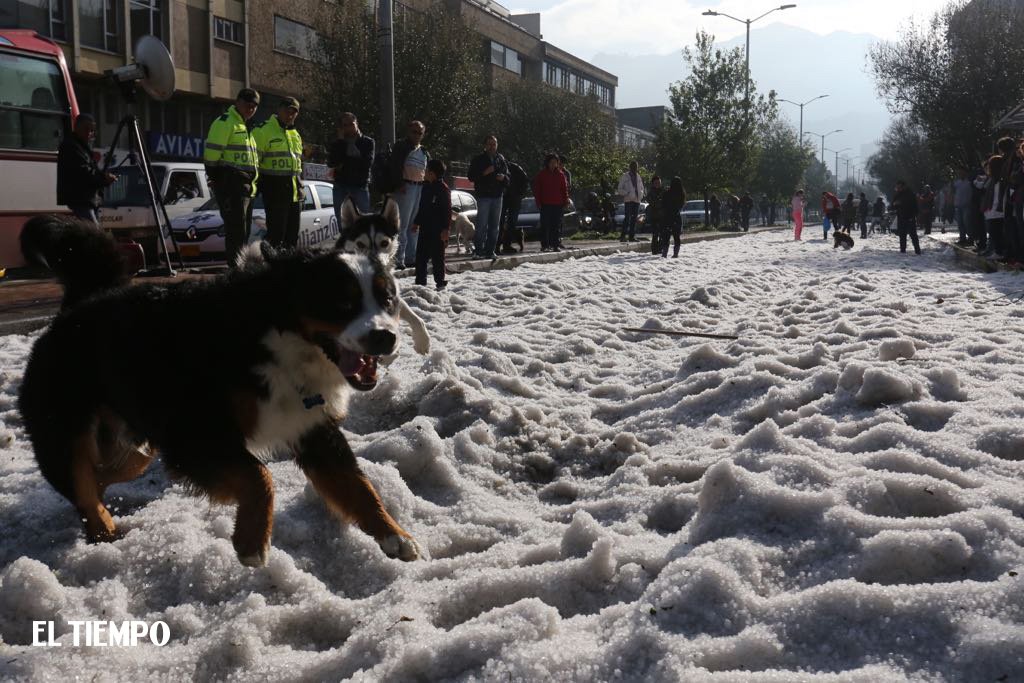 ELTIEMPO's tweet photo. ¡Bogotá no tiene nieve, pero tiene granizada! Así disfruta la gente de la ciudad vestida de blanco. Fotos: Carlos Ortega y Rodrigo Sepúlveda https://t.co/YTFSIlX9hp