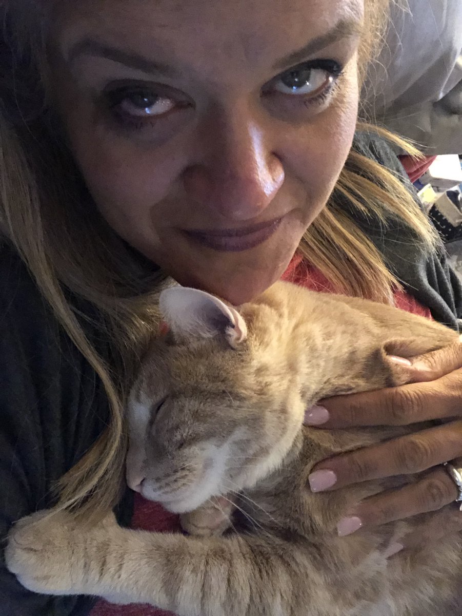 bethchet419's tweet photo. #thisanimal #GratitudeAdventure #max https://t.co/hMWd4Jg1IK