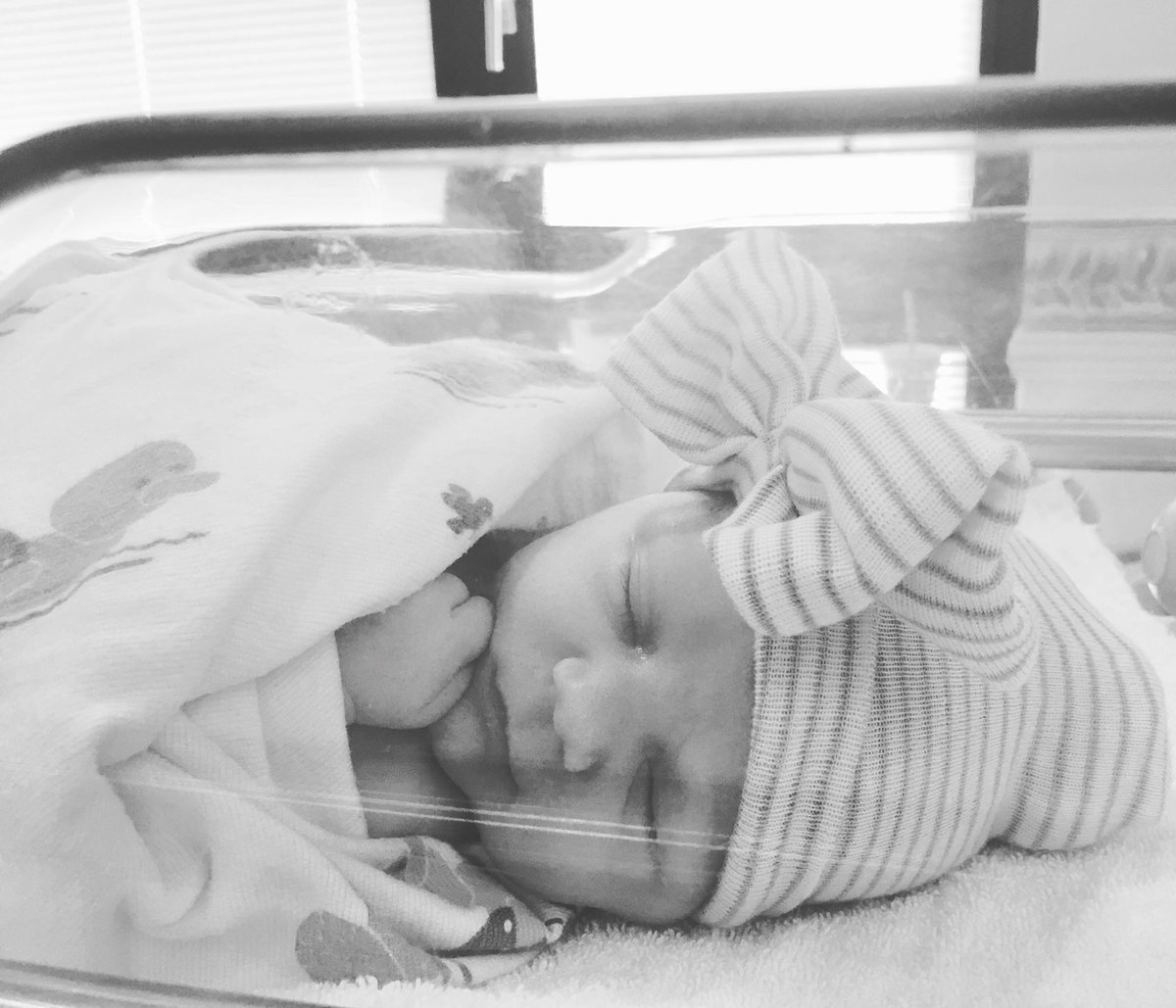 CourtGreg14's tweet photo. I don’t think I’ve ever seen anything more perfect. Happy 1 day old Jessa Lee💓 https://t.co/t2NcvhJ7d1