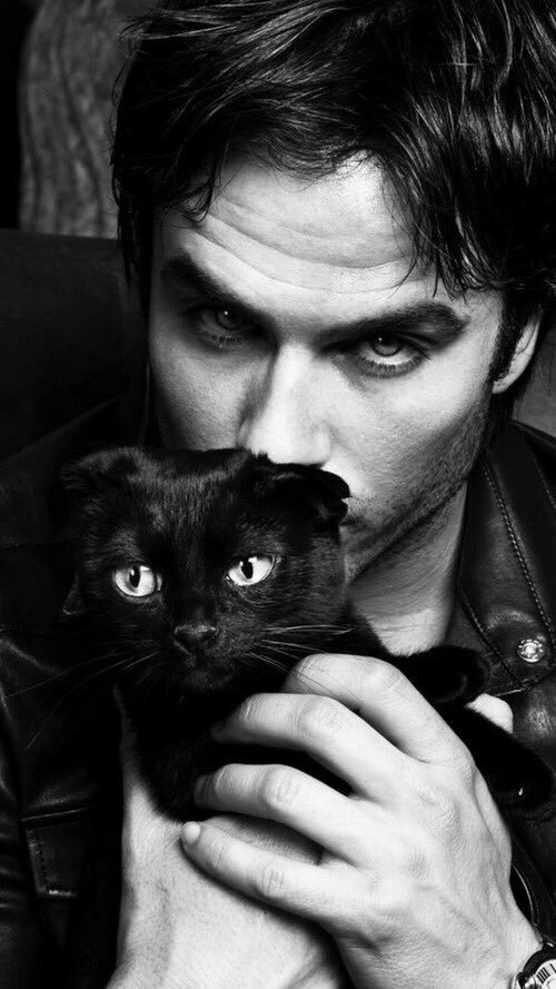 Mr_Shalder's tweet photo. My cats! https://t.co/b1p7t0485F