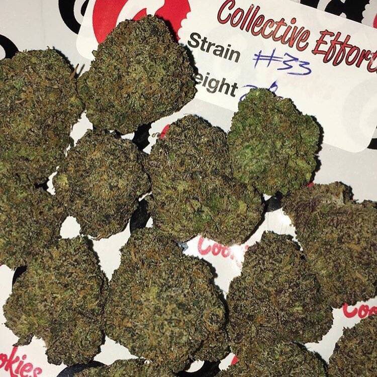 Caliplug4's tweet image. Gelato on deck hit up for orders. Order today and get extra 5 grams as tester. Wickr caliplug0694 for menu. Bitcoins accepted.