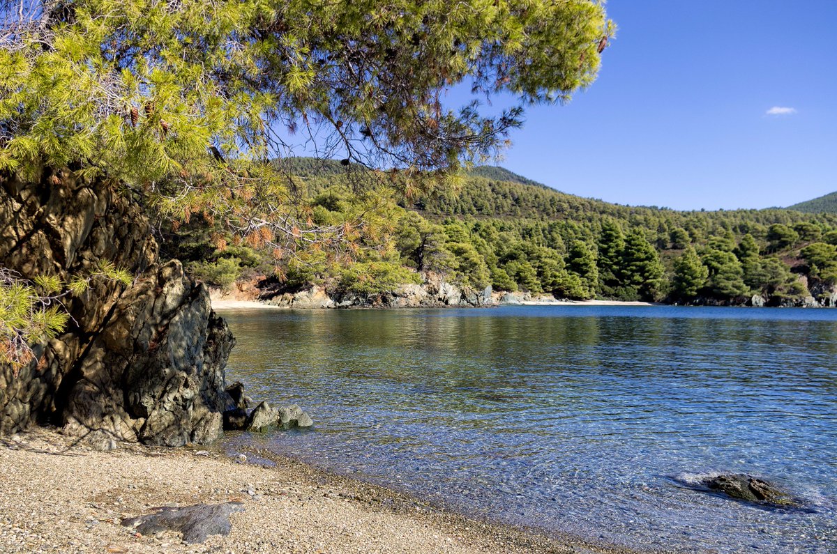 DiscoverGRcom's tweet photo. BLOG | From southern charm to northern magic.
Featured Author: Dimitris Stathopoulos. https://t.co/fCG9LsJ2TV📌
#MyViewofGreece #Halkidiki https://t.co/rqiotrLEzQ