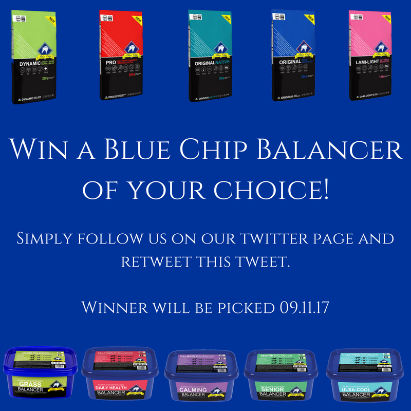 BlueChipFeed's tweet photo. Win a Blue Chip Feed Balancer!
Just follow our page and retweet this tweet!

Good Luck everyone!
#bluechipfeed #winwinwin https://t.co/EaQOoaACUr