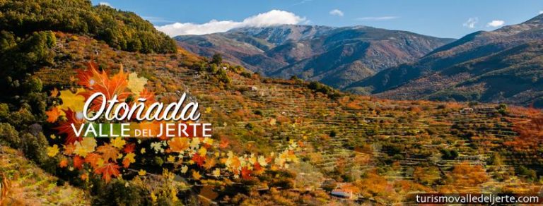 DGratisSalamanc's tweet photo. Otoño en el #ValleDelJerte: sentir, vivir, descansar, disfrutar, caminar, soñar... ¡planazo! #otonadajerte https://t.co/qTXdbLF7j6 https://t.co/192bQSfspu
