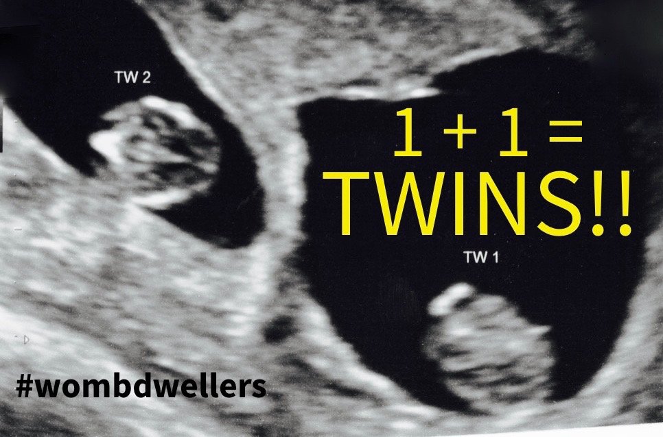 celldweller's tweet image. The doctor taught us some basic math: 1+1 = TWINS!! 👶 👶 #wombdwellers #twindroids #wombmates