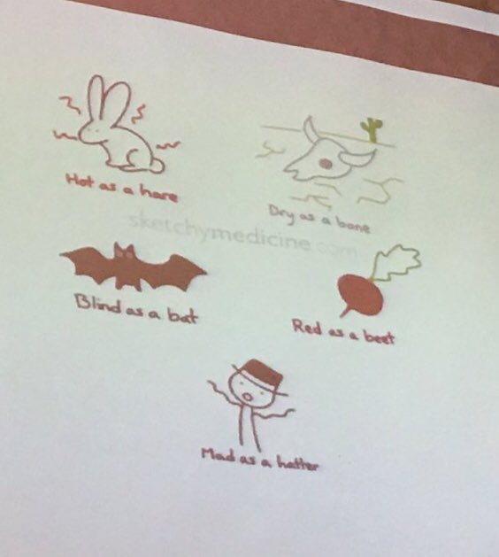 Trisha_the_doc's tweet photo. What do anticholinergic drugs do to you?
“Hot, dry, blind, red, mad....”
Many drugs (that you wouldn’t think of) carry this burden.
#bgsconf https://t.co/X2LTrv3uZn