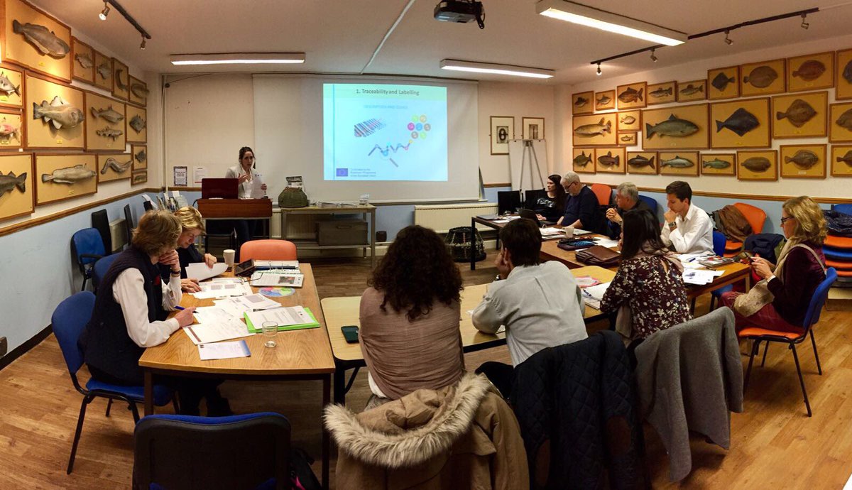 EATIP_eu's tweet photo. Third successful meeting of #efishnet in London @SeafoodSchool looking at improving #fishmongers training https://t.co/3E7Ox1w8PR