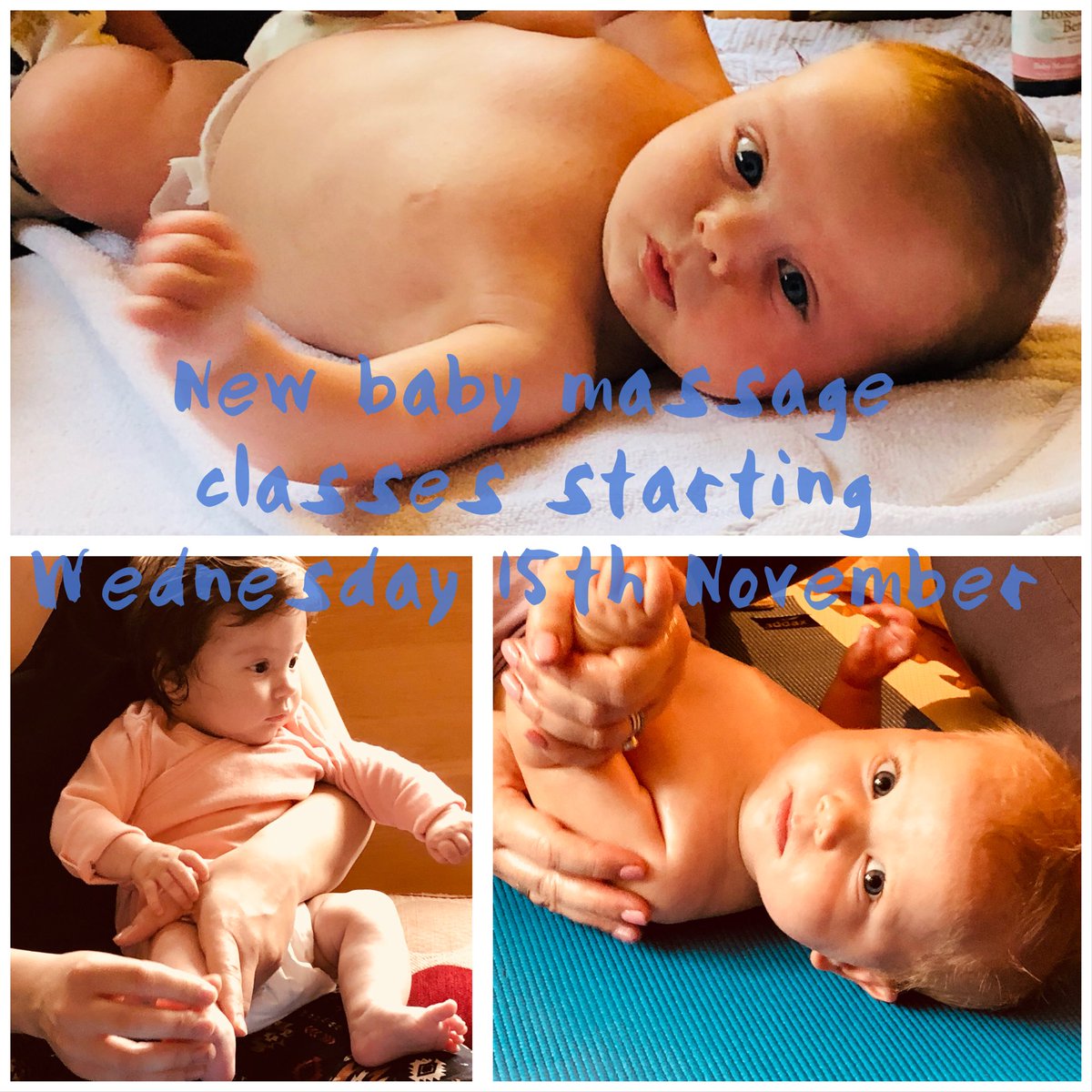 Little Floribundas tweet media