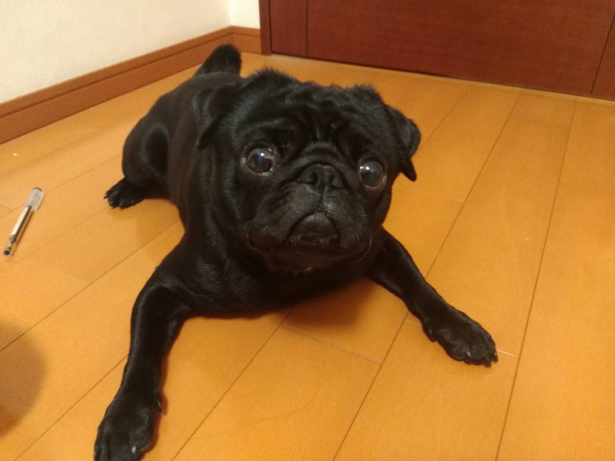 ダウンロード 蟒蛇 うわばみ ミキ Daijuhoukuranovvj