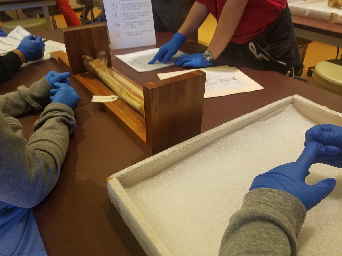 StuartHobsonSEM's tweet photo. Museum Studies students solve a mystery &amp; learn about forensic anthropology at Q?rius at the Smithsonian's Natural History Museum. https://t.co/ogCrhznE9w