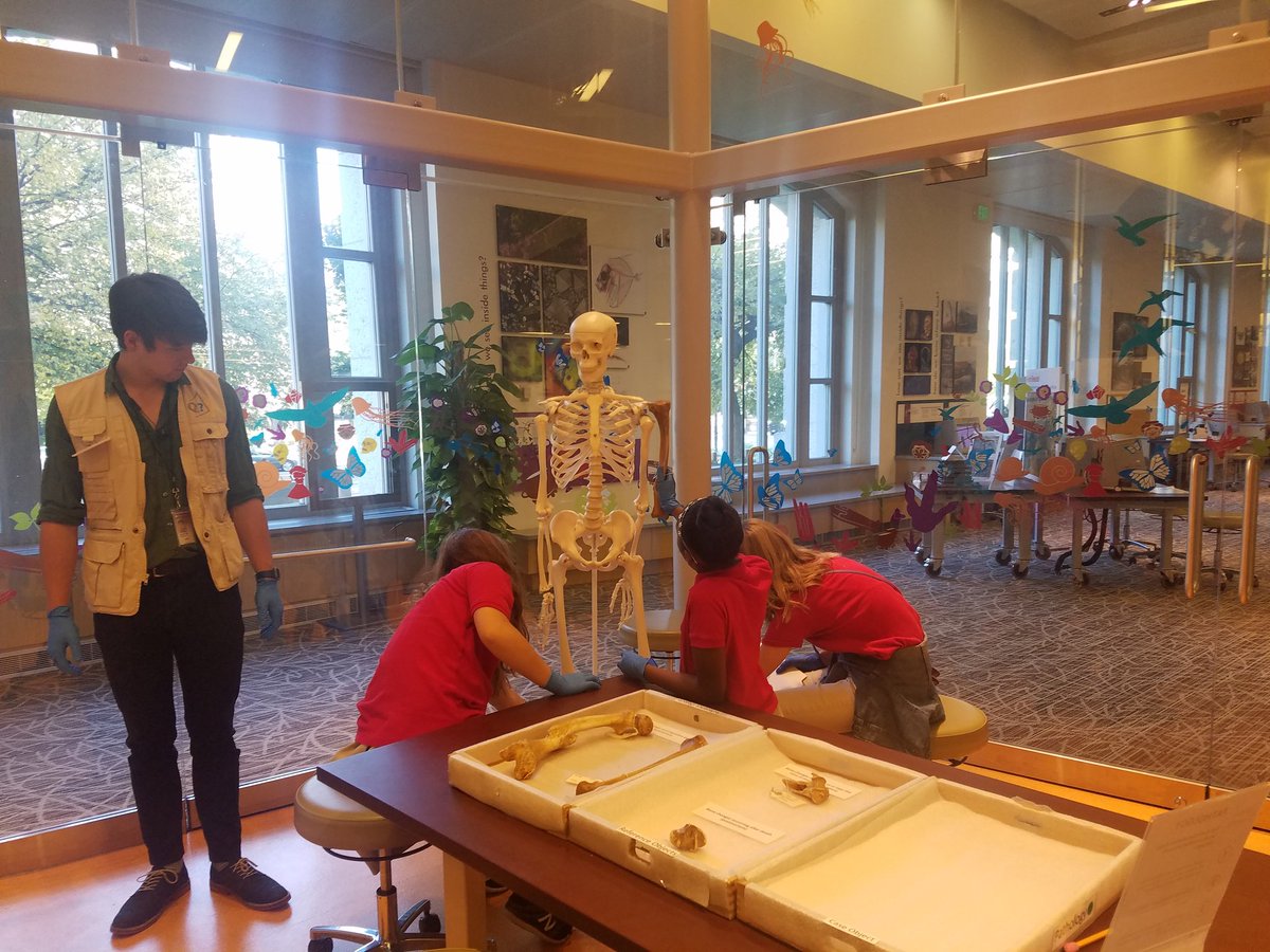 StuartHobsonSEM's tweet photo. Museum Studies students solve a mystery &amp; learn about forensic anthropology at Q?rius at the Smithsonian's Natural History Museum. https://t.co/ogCrhznE9w