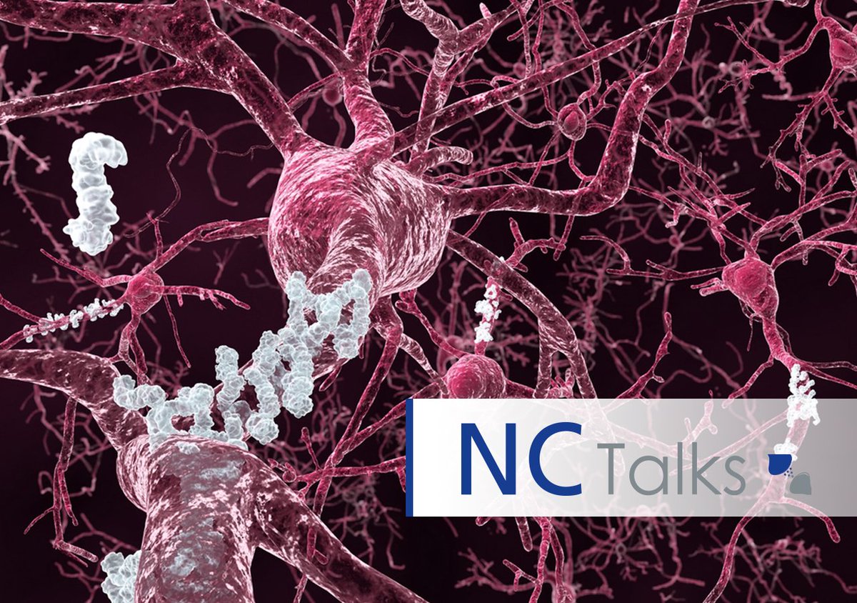 Neuro_Central's tweet photo. #NCTalks w/ Henrik Zetterberg: fluid #biomarkers for neurodegeneration - free #podcast recorded at #ClearingtheBrain https://t.co/8uwfJyCyVw https://t.co/fkfTFkm2Ff