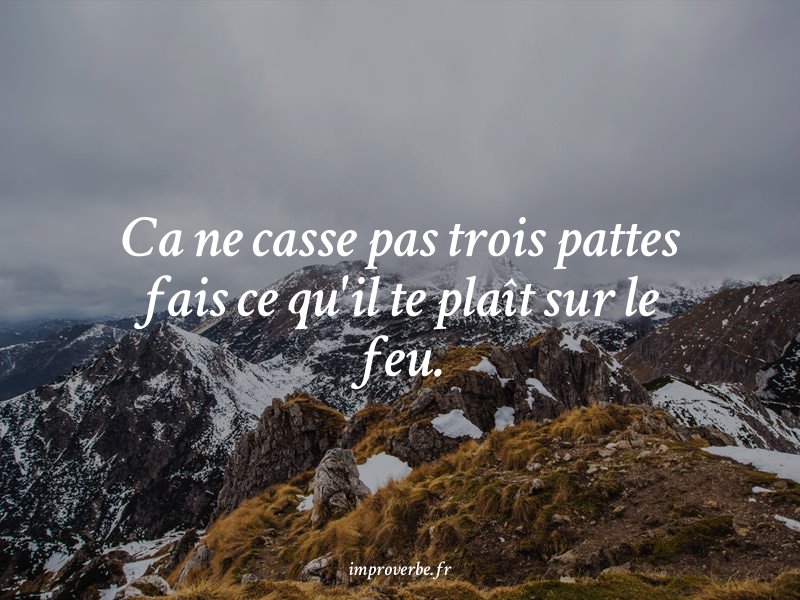 improverbe's tweet photo. Comme on dit : « Ca ne casse pas trois pattes fais ce qu'il te plaît sur le feu. » — un proverbe improbable #quote #BESASM https://t.co/mcAb2xbzQK