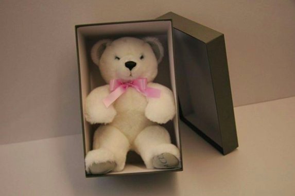 GWDLtd's tweet photo. How cute is the Dior Teddy Bear in its special presentation box? #poshboxes #packaging #boxes #beautifulboxes https://t.co/iCdtnvESvN