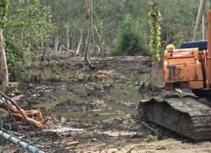 VI_Source's tweet photo. DPNR Halts Unpermitted Heavy Equipmen https://t.co/sOHS88Qi8V t Work in Hull Bay #VI #USVI #StThomas #HullBay #irma https://t.co/Tr4ybVzAW9