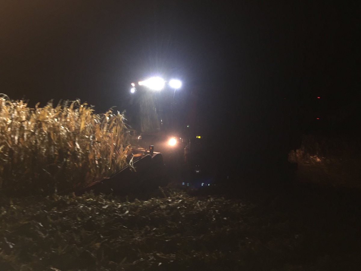 dinger_don's tweet photo. DKC56-45 and DKC52-68 dominate Luverne Golf course plot #yieldhunt17 #MyFarmMyYield #myfieldview #dekalbemployee https://t.co/QT9XAAClVt