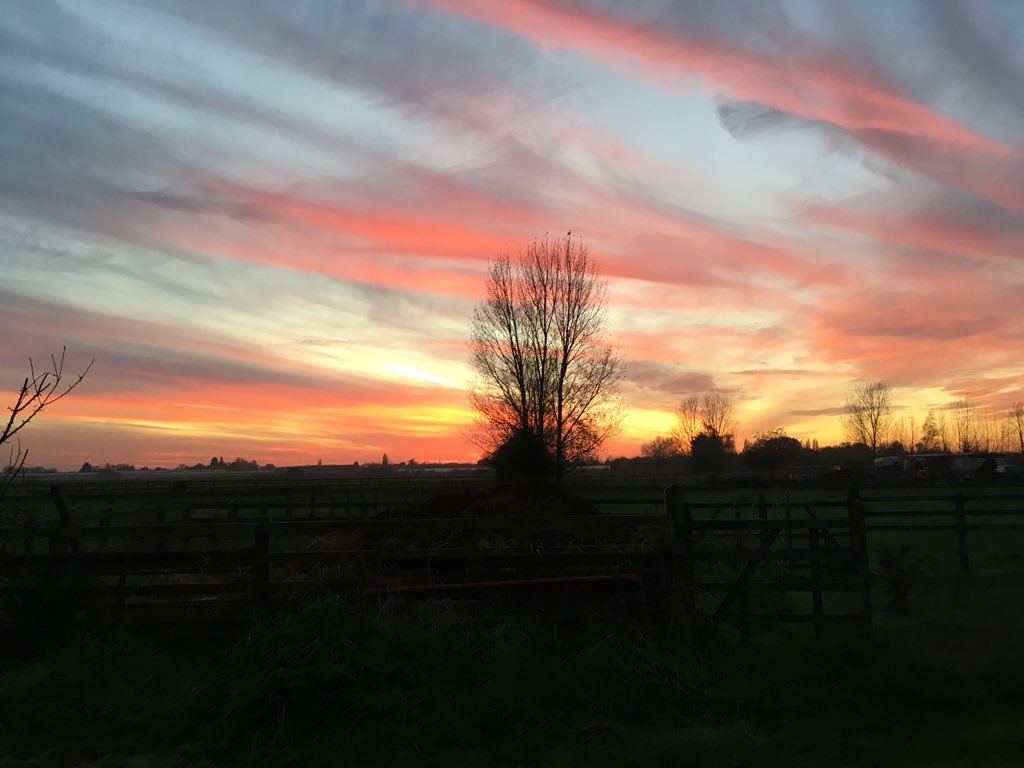 maureen_adlam's tweet photo. @EDP24  https://t.co/mpSWWnCPju