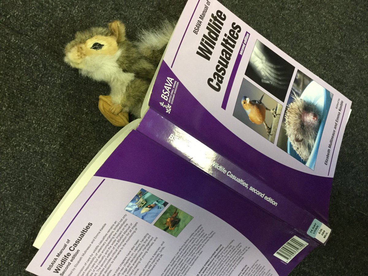 Bsava manual of wildlife casualties 2nd edition
