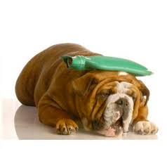 Big Lenny tweet media