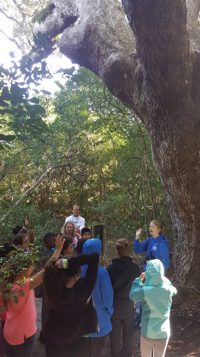 AprilBEngland's tweet photo. Learning about the oldest live oak on BHI @brunscoschools @BHIConservancy #WeAreDE https://t.co/L9q3JLsHnH