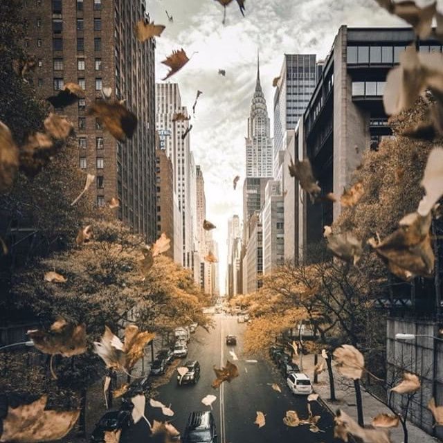 Reposting <a href="/collectivedeco/">Collective Deco</a>:
New-York fall 💚 - 
crwd.fr/2lpRfTT

#ny #fall #pics #design #architecture #newyork #lg #hvac