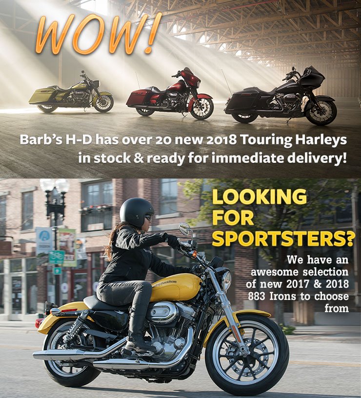 Barbs_HD's tweet image. 