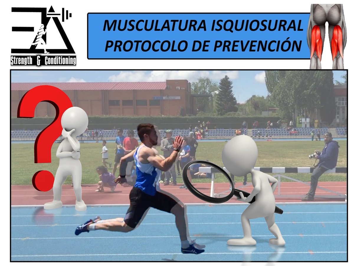 coach_antoexpo's tweet photo. Reducción de la incidencia lesional de isquiosurales 2.0!! 💪🏻

⚠️La semana que viene comenzaré a tratar uno por uno cada aspecto⚠️ https://t.co/rX9PIwcXDY