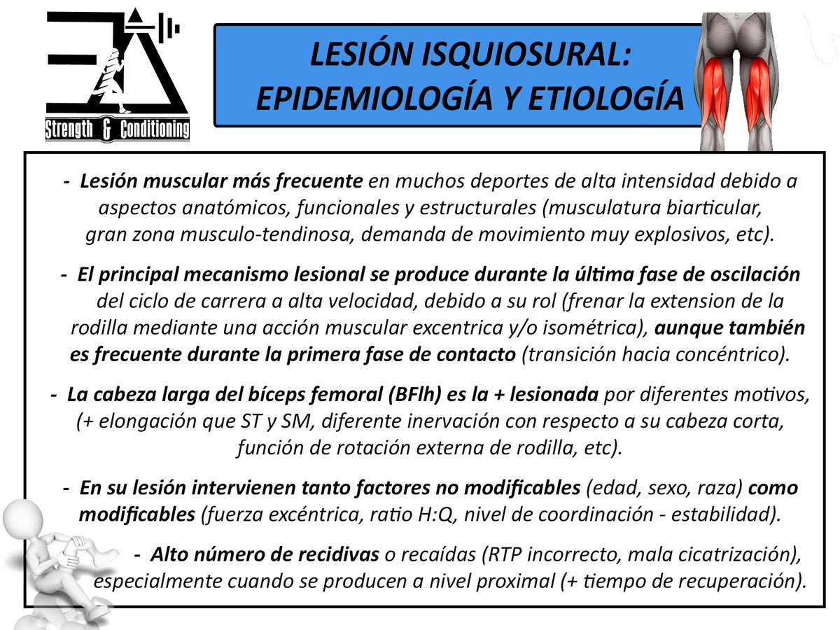coach_antoexpo's tweet photo. Reducción de la incidencia lesional de isquiosurales 2.0!! 💪🏻

⚠️La semana que viene comenzaré a tratar uno por uno cada aspecto⚠️ https://t.co/rX9PIwcXDY