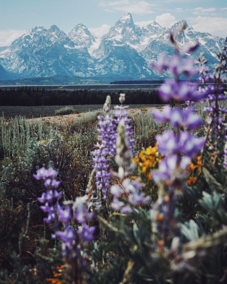 coffee_n_mtns's tweet photo. Grand Teton National Park https://t.co/AYVyHVG2WB