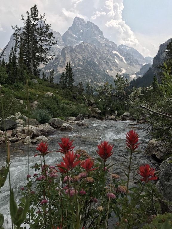 coffee_n_mtns's tweet photo. Grand Teton National Park https://t.co/AYVyHVG2WB