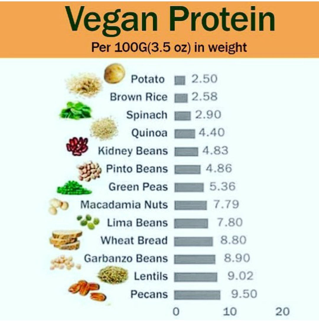 Vegan Protein Chart