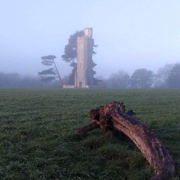 briszooproject's tweet photo. Tower Meadow was looking very MISTerious this morning! https://t.co/w2sSlb0ATa