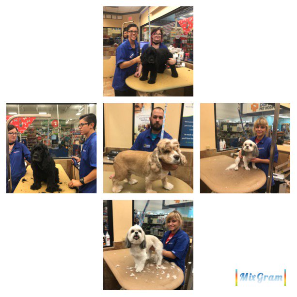Some awesome grooms to kick off our sporting week! <a href="/ashleybeltz84/">Ashley</a> <a href="/CarrieVillani/">Carrie Villani</a> @PetSmart_DaveK