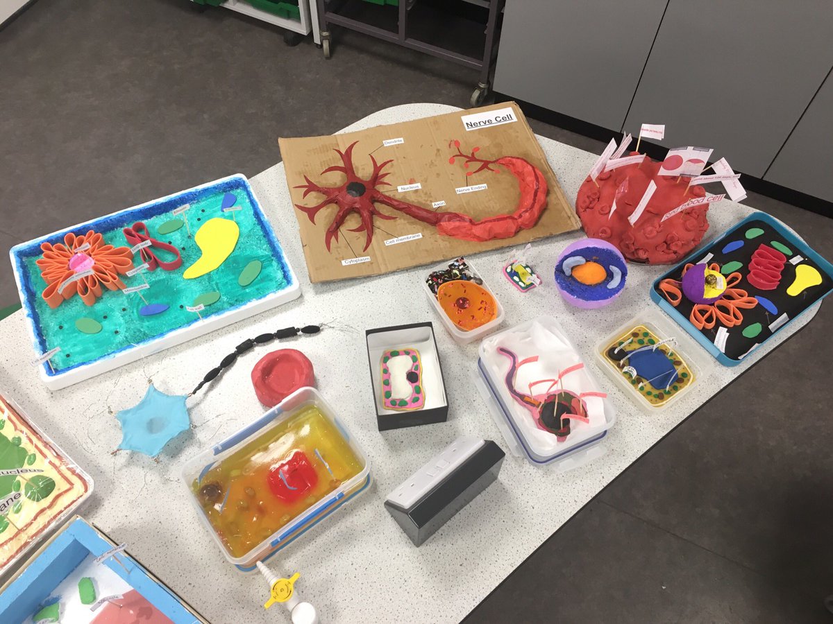 RLSMrWest's tweet image. Fabulous cell models produced by @TheRoyalLatin Year 7 students #7V #Awesome 👍🤩