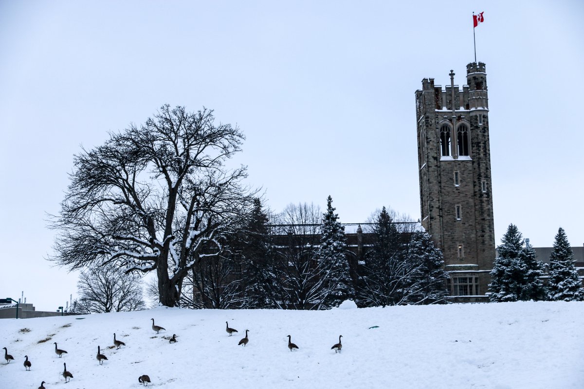 WesternU's tweet photo. Geese go south for winter #Happiest5WordSentence #notlikely #westernproblems #unofficialmascot https://t.co/CZHAtOvAZi