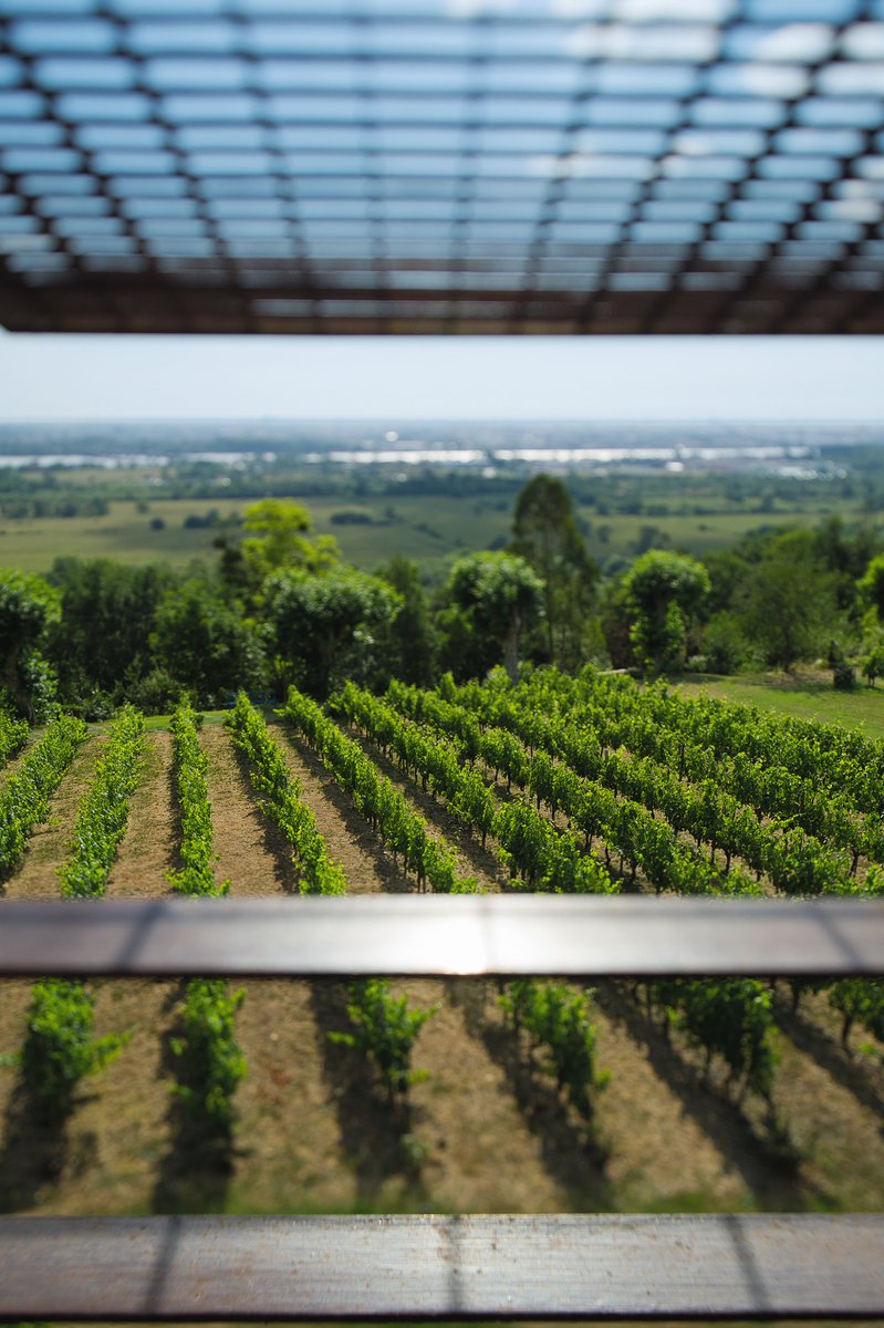 Bordeaux – voyage to the vineyards for a weekend of wine <a href="/StJamesBordeaux/">Le Saint James</a> citizen-femme.com/2017/09/09/bor… via <a href="/CitizenFemme/">Citizen Femme</a> #travel  #Bordeaux