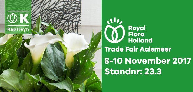 From 8th until 10th November 2017, Kapiteyn will be exhibiting @Floraholland #Tradefair #Aalsmeer. Visit us at stand 23.3. #captaincalla