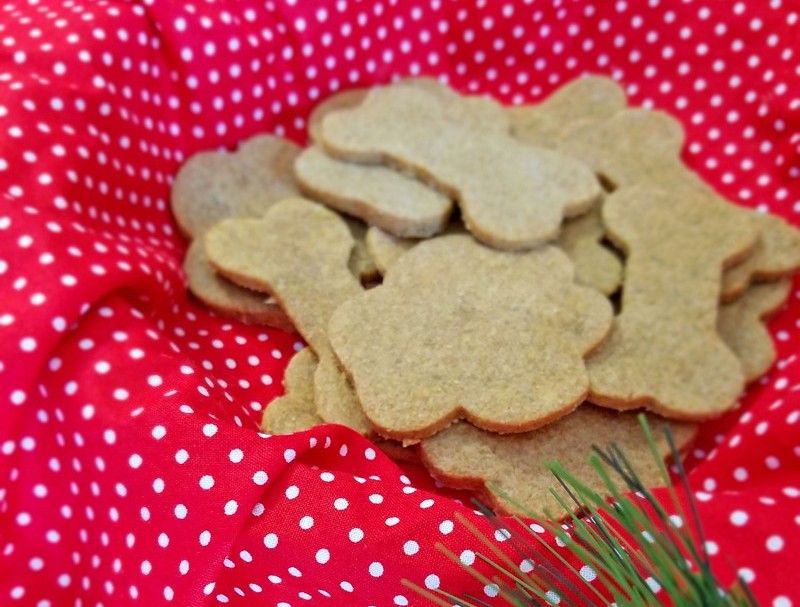 DogVills's tweet image. Don't forget Fido when you're baking holiday cookies! Check out these easy #Christmas #dog treats! bit.ly/2ylYzWM  #pets