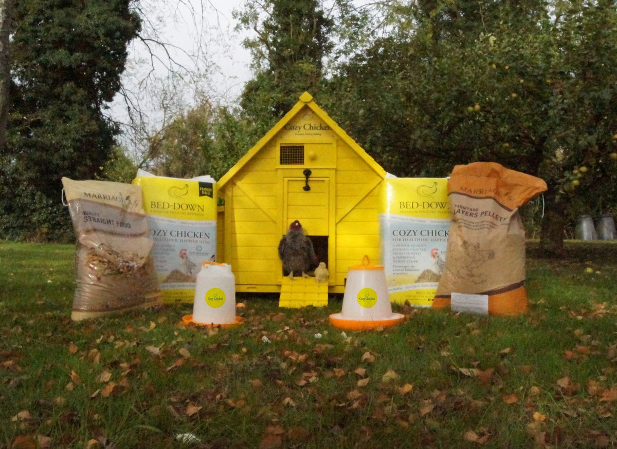 beddownpoultry's tweet photo. Picture your hens nice and cozy in this lovely bespoke coop throughout the winter months! https://t.co/UZJzeLGJR0 #PRIZEDRAW #cozychicken https://t.co/pNypKlW9Pj