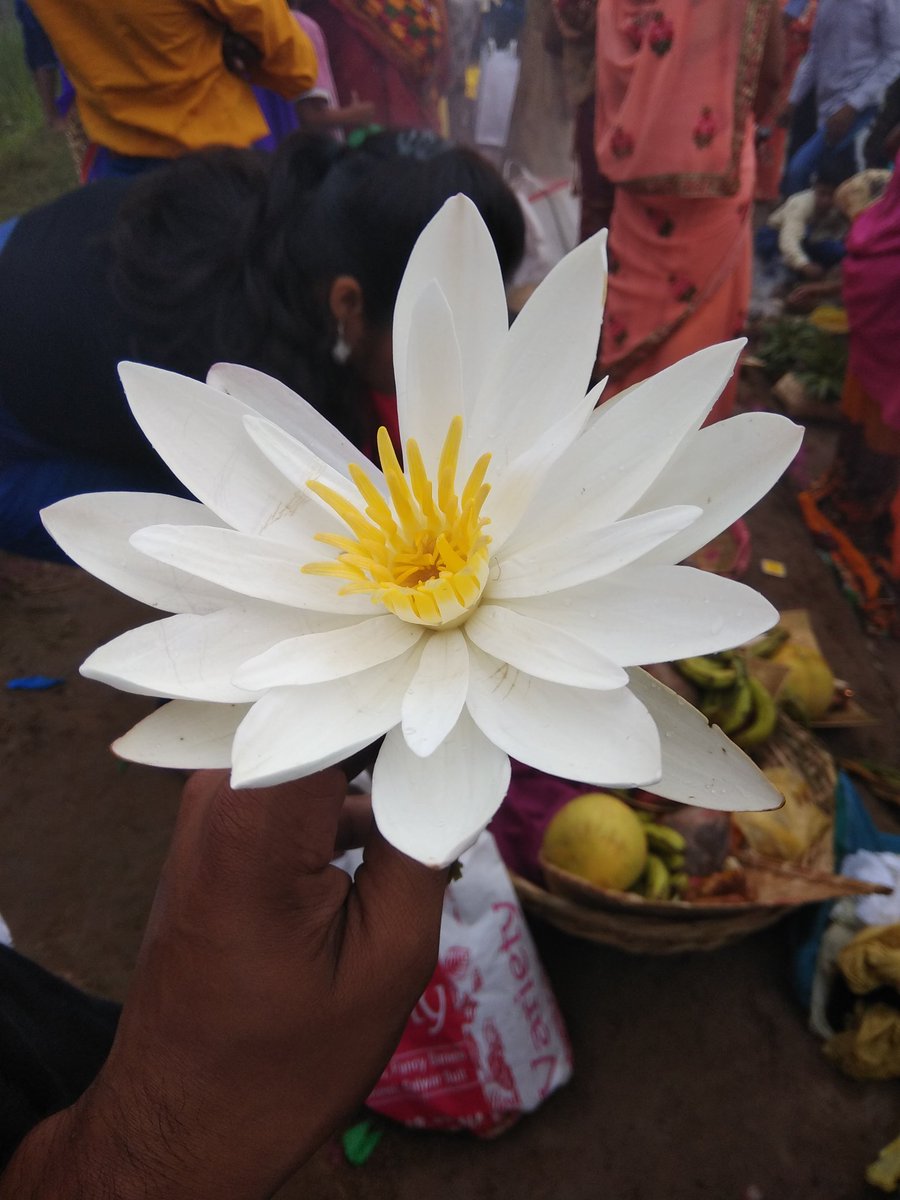ankur764's tweet photo. No caption required..... https://t.co/fSpslHMOSR